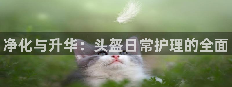 凯时网址多少