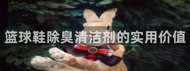 凯时app官方首页