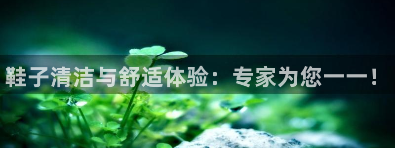凯时kb88·中国官方网站