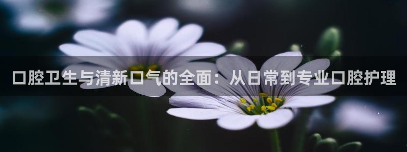 尊龙集团有限公司是国企吗