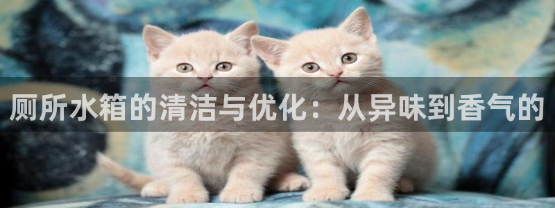 尊龙集团有限公司