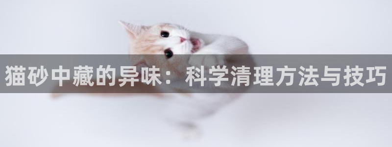 尊龙 中国