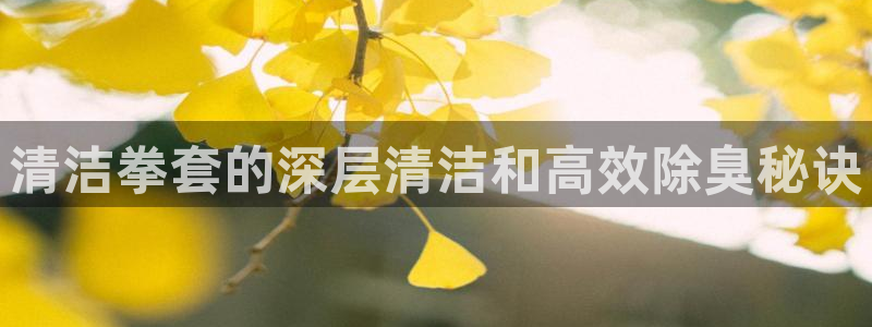 尊龙凯时官网平台