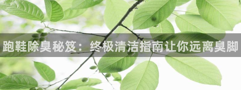 尊龙官网免费下载