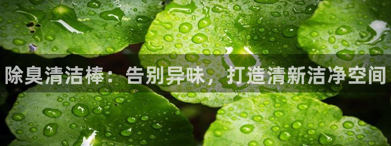 尊龙凯时登陆网址：除臭清洁棒：告别异味，打造清新洁净空间