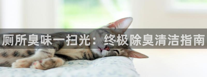尊龙凯时人生就博官网：厕所臭味一扫光：终极除臭清洁指南
