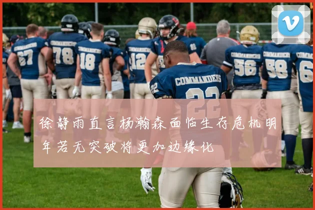 徐静雨直言杨瀚森面临生存危机明年若无突破将更加边缘化