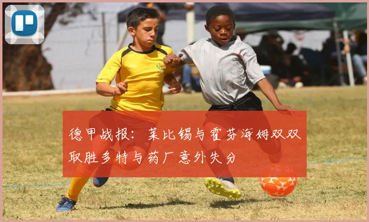 德甲战报：莱比锡与霍芬海姆双双取胜多特与药厂意外失分
